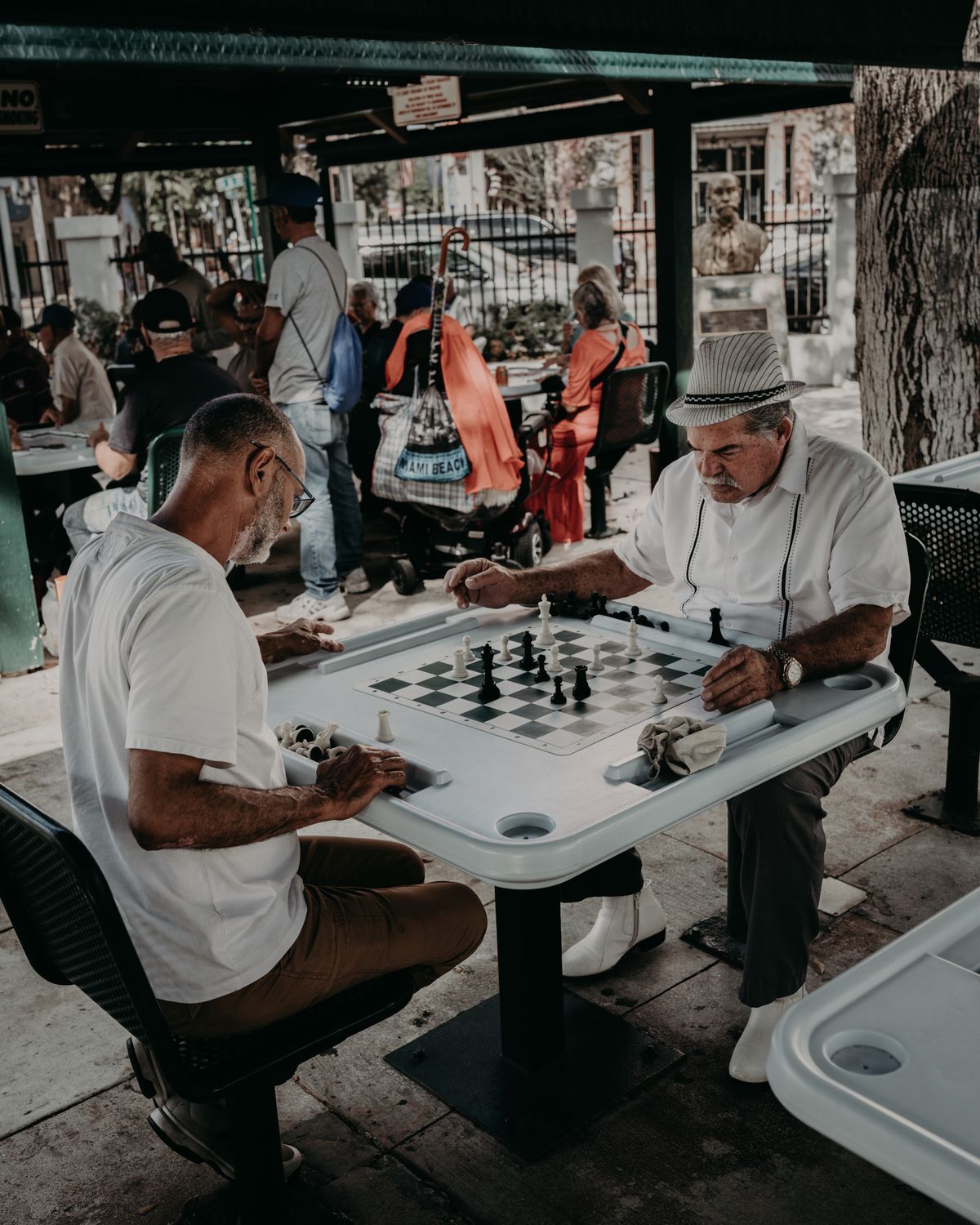 Two senior men playing chess in a park